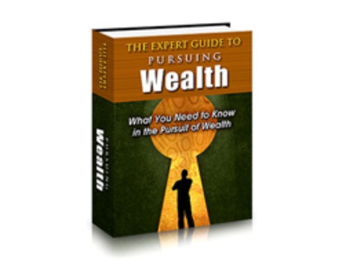Product picture The Expert Guide to Pursuing Wealth