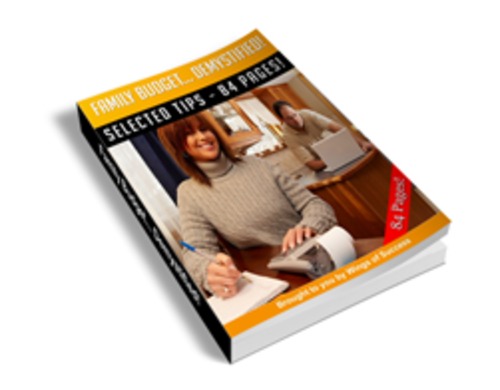 Product picture Family Budget Demystified!